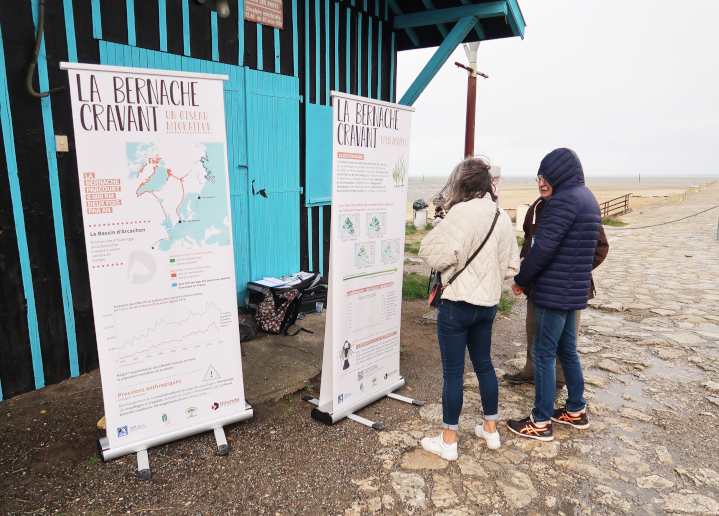 Clap de fin pour la 5ème édition du Festival de la Bernache !